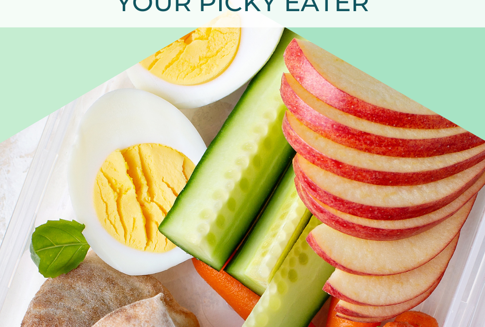 Everything You Ever Need To Know About Snacks and Your Picky Eater