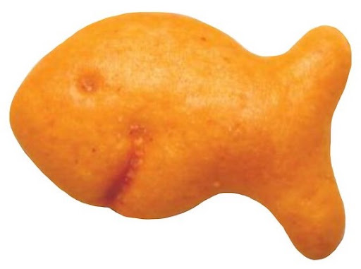 goldfish