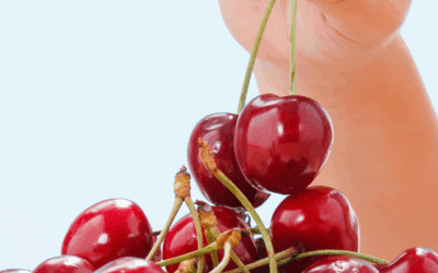 How to Get Your Picky Eater to Try New Foods (Without Saying ‘Just Try It’)